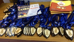 Волоконовские спортсмены завоевали золото и серебро на соревнованиях по самбо