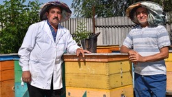 Юрий и Анатолий Литовченко из Волоконовского района завели пчелиное хозяйство уже более 20 лет назад