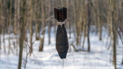 Очевидцы обнаружили боеприпас времён Второй мировой войны в урочище Ближний лес
