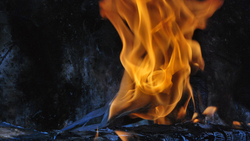 Летняя кухня загорелась в посёлке Волоконовка по улице Дачная