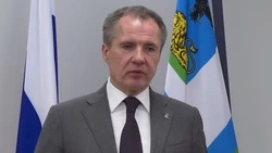 Губернатор Белгородской области прокомментировал вопрос белгородской журналистки Президенту РФ
