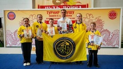 Волоконовские спортсмены завоевали шесть медалей на открытом турнире по ушу «Путь воина»