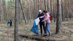 Волоконовские школьники убрали от мусора 1 га леса