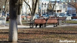 Белгородцев приглашают к участию в оценке проектов конкурса «Моя страна – моя Россия»