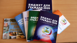 Более трети белгородцев признали нехватку личных знаний в бюджетной сфере