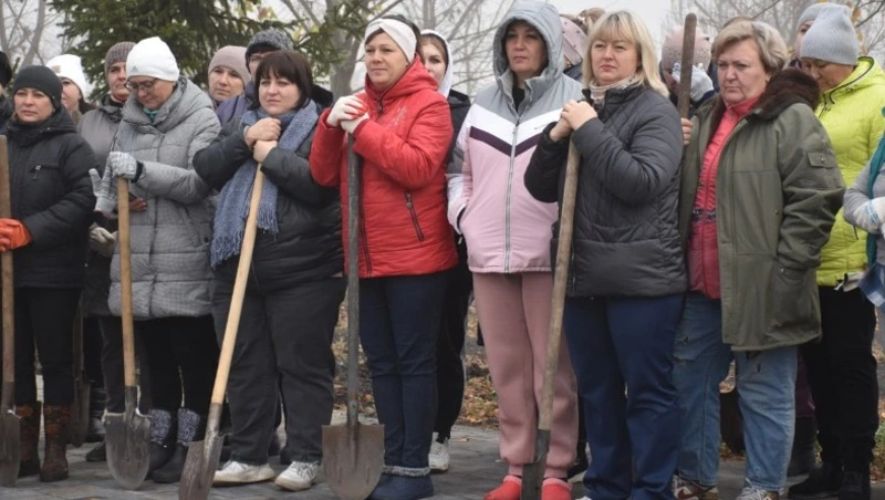 Единый день высадки тюльпанов прошёл в Волоконовке