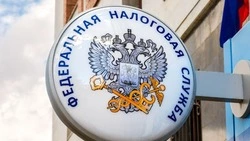 УФНС: Мошенники используют тему декларирования доходов для обмана граждан