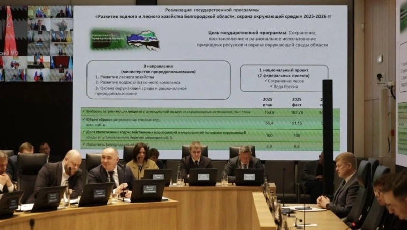 Показатель лесовосстановления в Белгородской области составил 586%