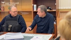 Вячеслав Гладков провёл рабочую встречу с губернатором Пензенской области
