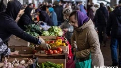 Губернатор Вячеслав Гладков прокомментировал подготовку к проведению сельскохозяйственных ярмарок