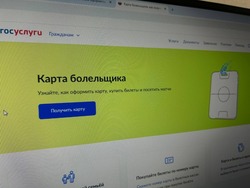 Более 600 человек оформили карту болельщика в МФЦ Белгородской области с начала 2025 года