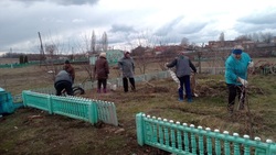 Жители Волоконовского района приняли участие в месяце добровольного служения региону