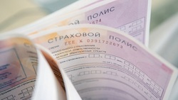 Белгородские водители смогут предъявлять полис ОСАГО в электронном виде