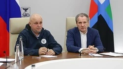 Вячеслав Гладков рассказал о встрече с министром энергетики РФ