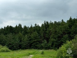 Белгородские синоптики прогнозируют облачную с прояснениями погоду 24 июля на территории региона