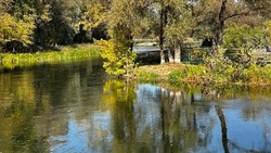 Компания Белгородэнерго напомнила жителям региона об опасности рыбалки под ЛЭП