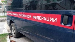 Волокончанин сядет в тюрьму на 11 лет за убийство знакомой
