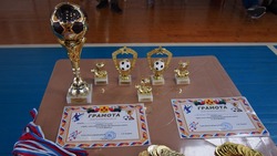 Розыгрыш кубка главы администрации района по мини-футболу состоялся в Волоконовке