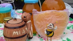 Традиционная ярмарка мёда пройдёт в посёлке Волоконовка