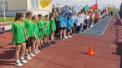 Волоконовцы приняли участие в областном фестивале ВФСК ГТО III ступени 