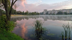 Прохожие обнаружили тело взрослого мужчины в белгородской реке