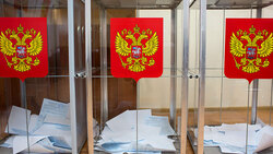 Трёхдневное голосование завершилось в России