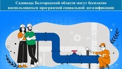 Садоводы Белгородской области могут бесплатно воспользоваться программой социальной догазификации
