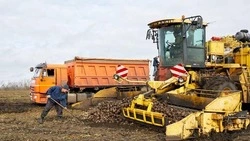 Вячеслав Гладков сообщил итоги развития аграрной сферы в Белгородской области