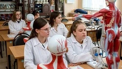 Белгородские выпускники медицинских классов продолжили обучение в профильных учебных заведениях