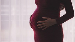 Белгородские работодатели заплатят 5 тысяч рублей за нарушение прав беременных женщин