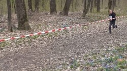 Волоконовцы приняли участие в легкоатлетическом кроссе