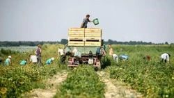 Лето без риска: специалисты Госинспекции труда рассказали об особенностях работы в жаркий период