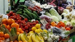 Вячеслав Гладков – о предоставлении субсидий 30 ЛПХ для выращивания овощей и картофеля