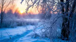 Белгородцев ждёт одна из самых холодных ночей этой зимы