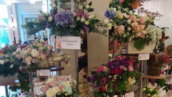 Волоконовцы стали победителями областной выставки «Цветы как признанье»